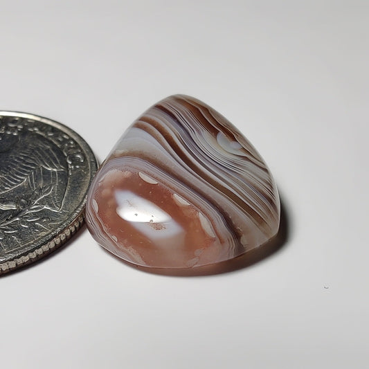 Botswana Agate
