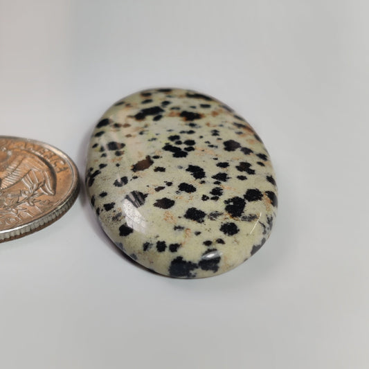 Dalmatian Jasper
