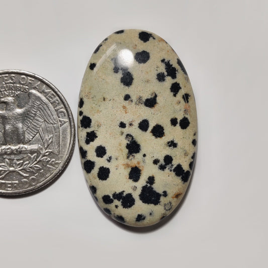 Dalmatian Jasper