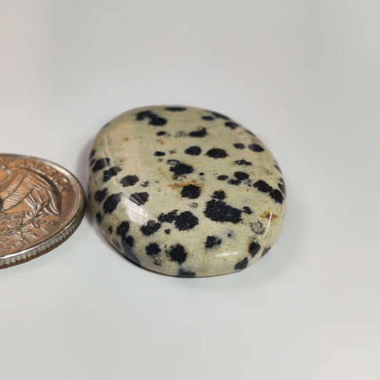 Dalmatian Jasper