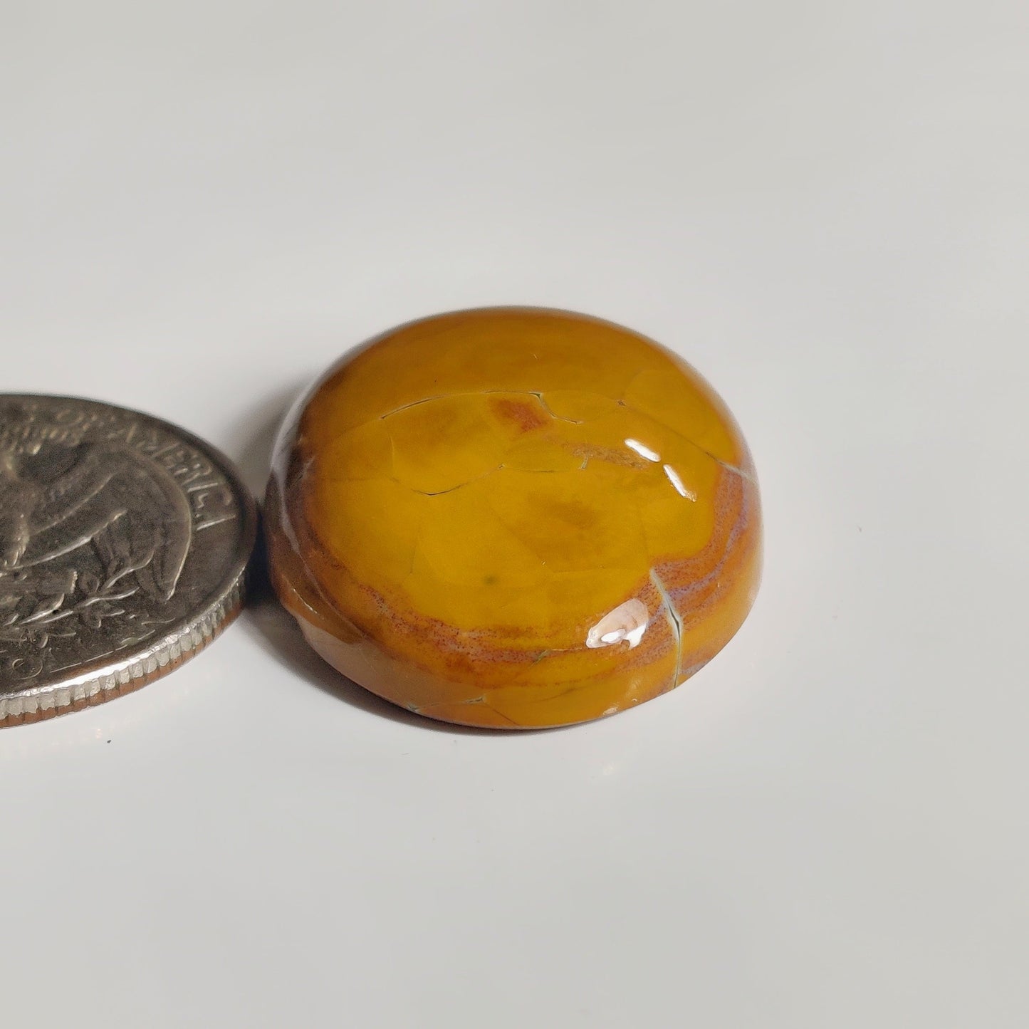 Ocean Jasper