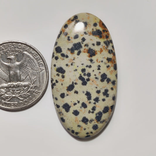 Dalmatian Jasper