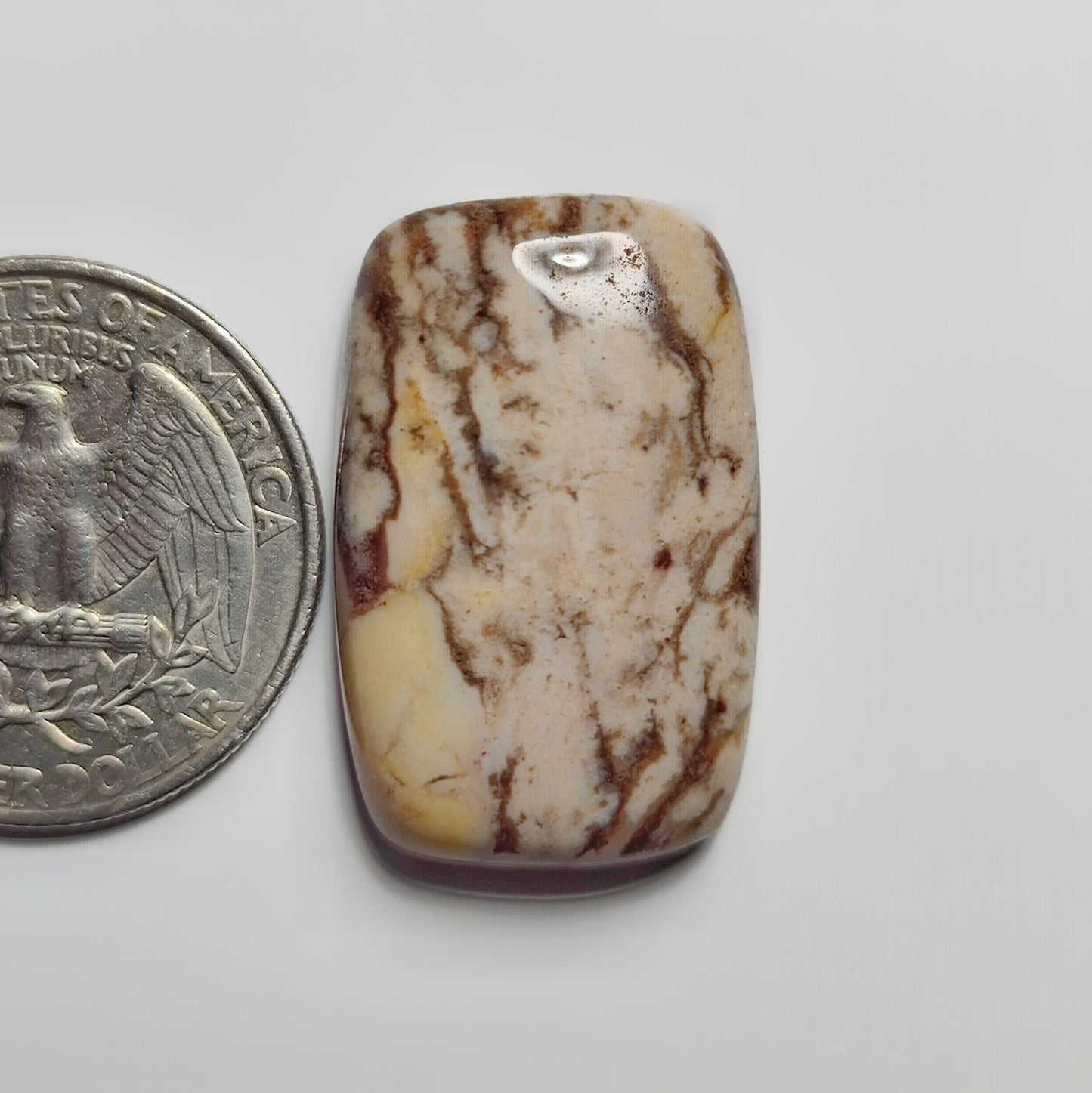 Coconut Jasper
