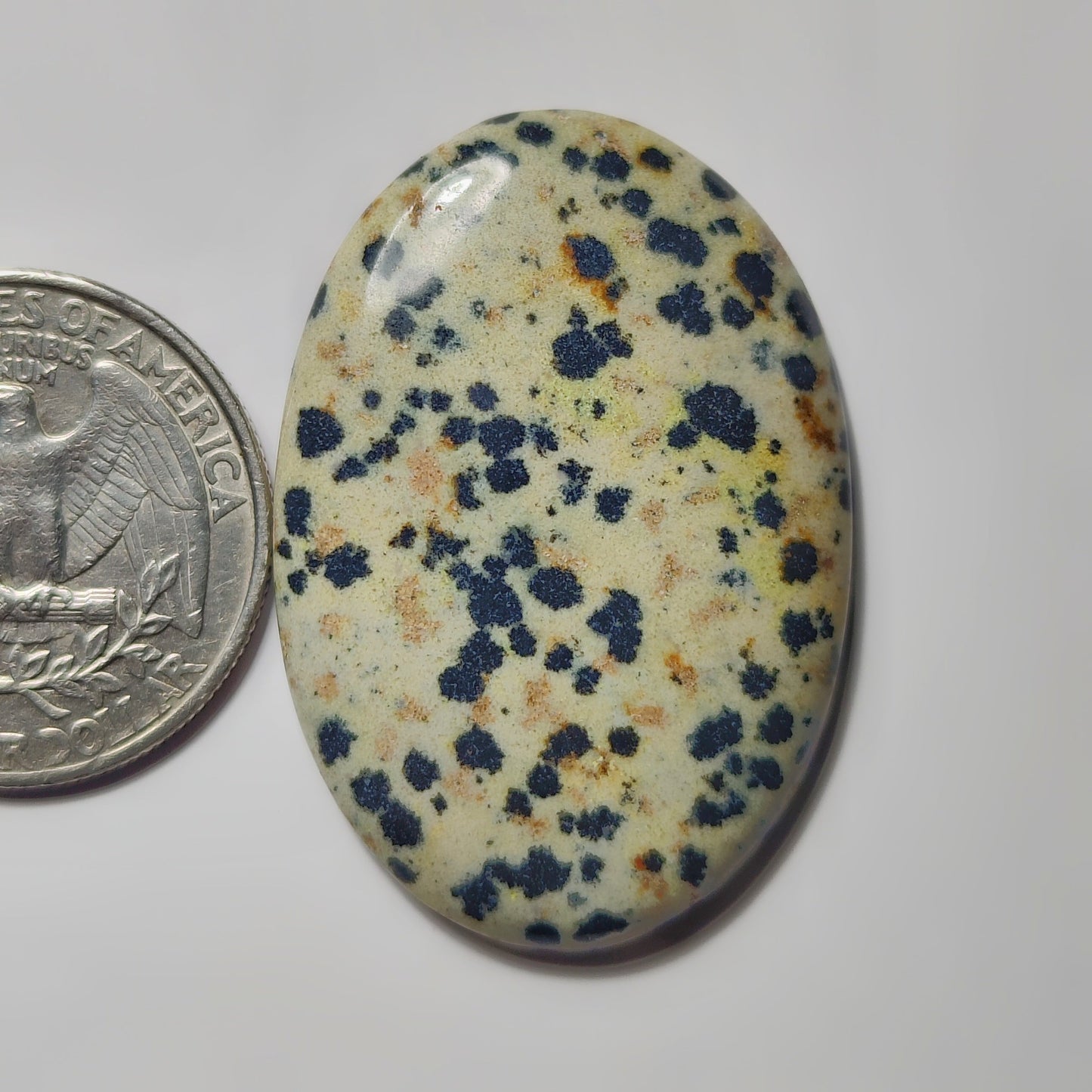 Dalamantion Jasper