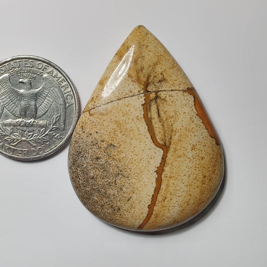 Picture Jasper