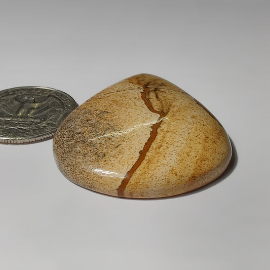 Picture Jasper