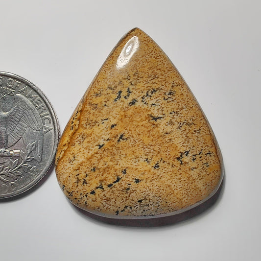 Picture Jasper