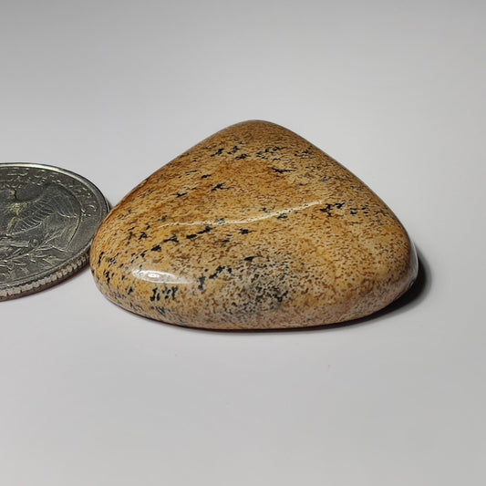 Picture Jasper