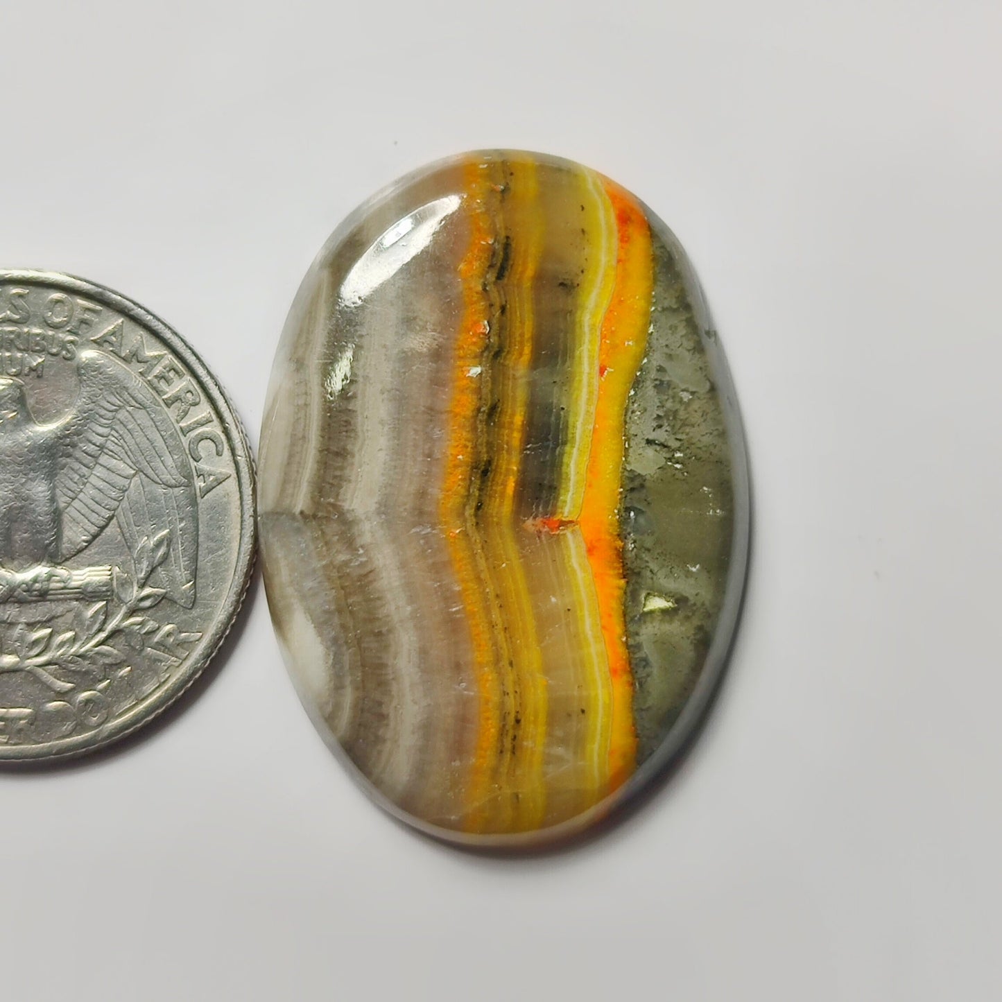 Bumble Bee Jasper