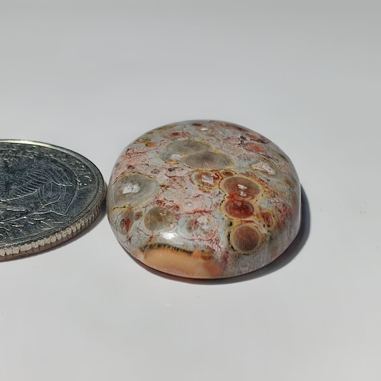 Leopard Skin Jasper gemstone cabochon - natural crystal healing stone for jewelry making by SemiPreciousCabs