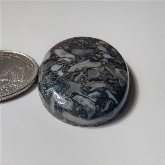 Orthoceras gemstone cabochon - natural crystal healing stone for jewelry making by SemiPreciousCabs