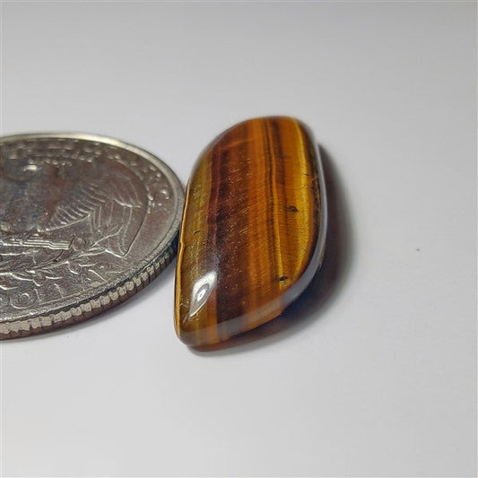 Tiger Eye gemstone cabochon - natural crystal healing stone for jewelry making by SemiPreciousCabs