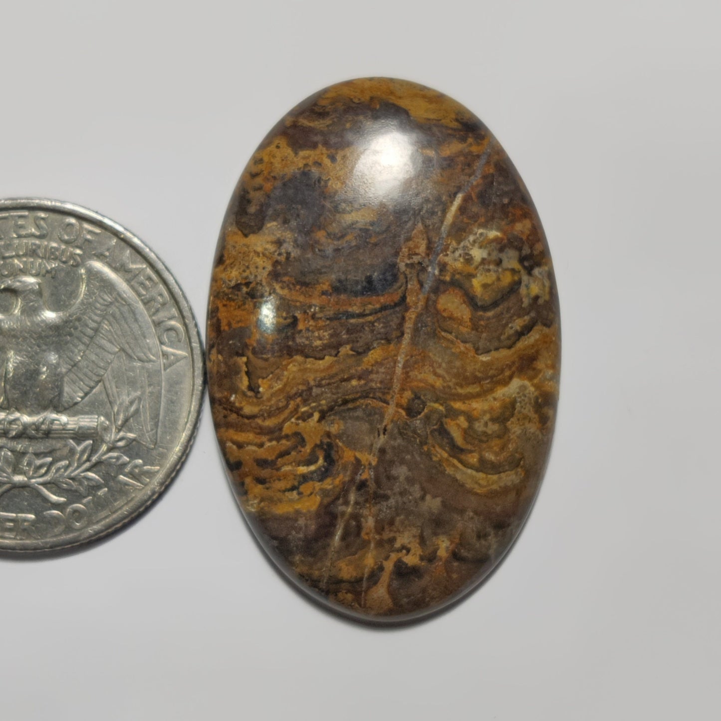 Stromatolite