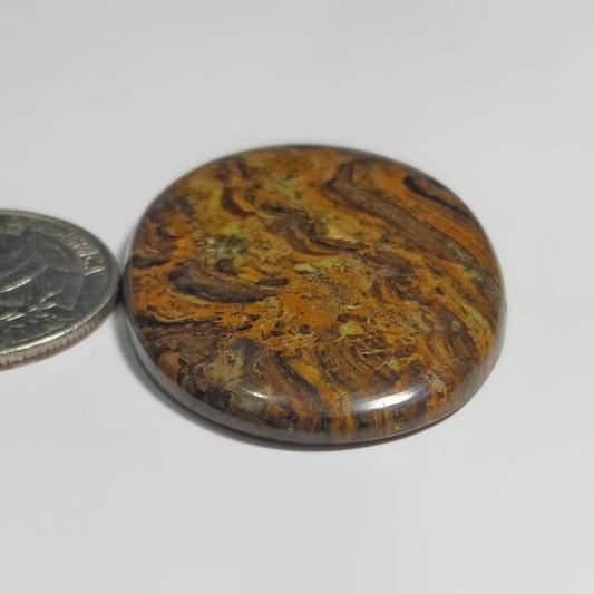 Stromatolite