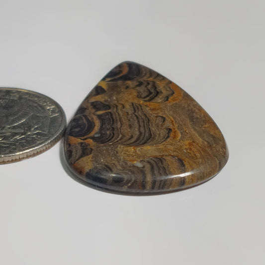 Stromatolite