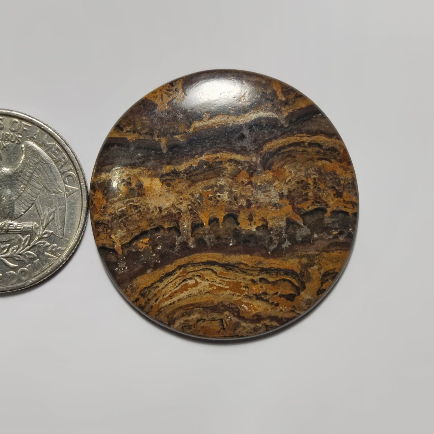 Stromatolite