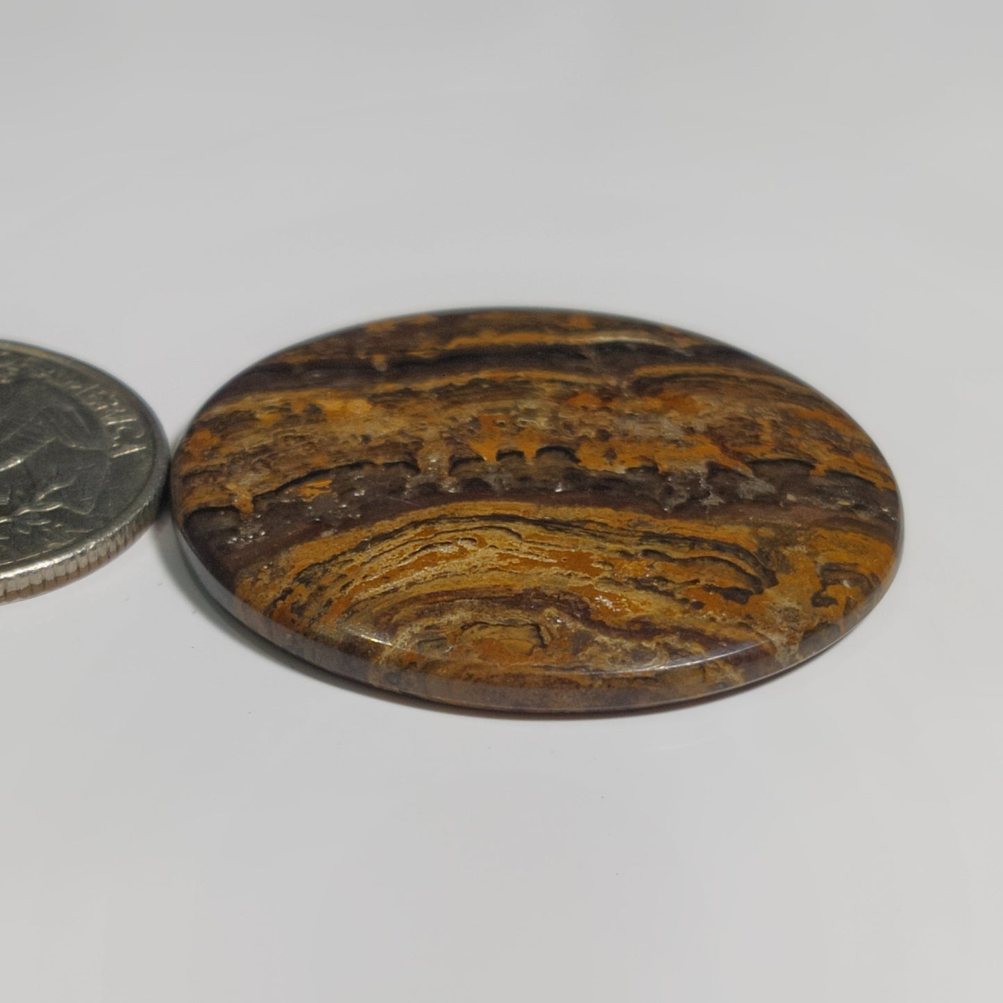 Stromatolite