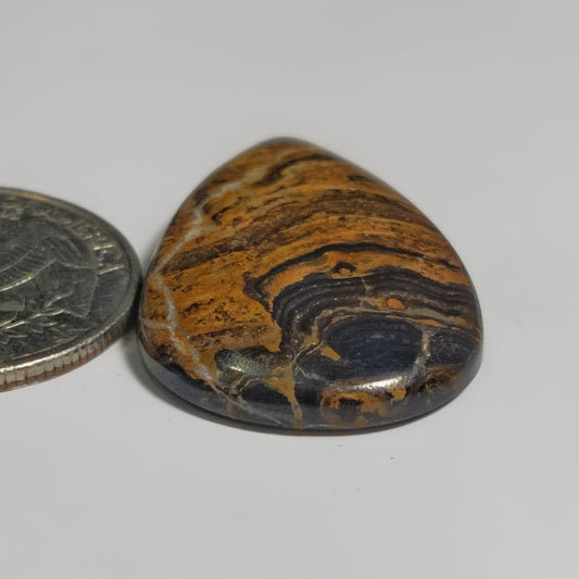 Stromatolite