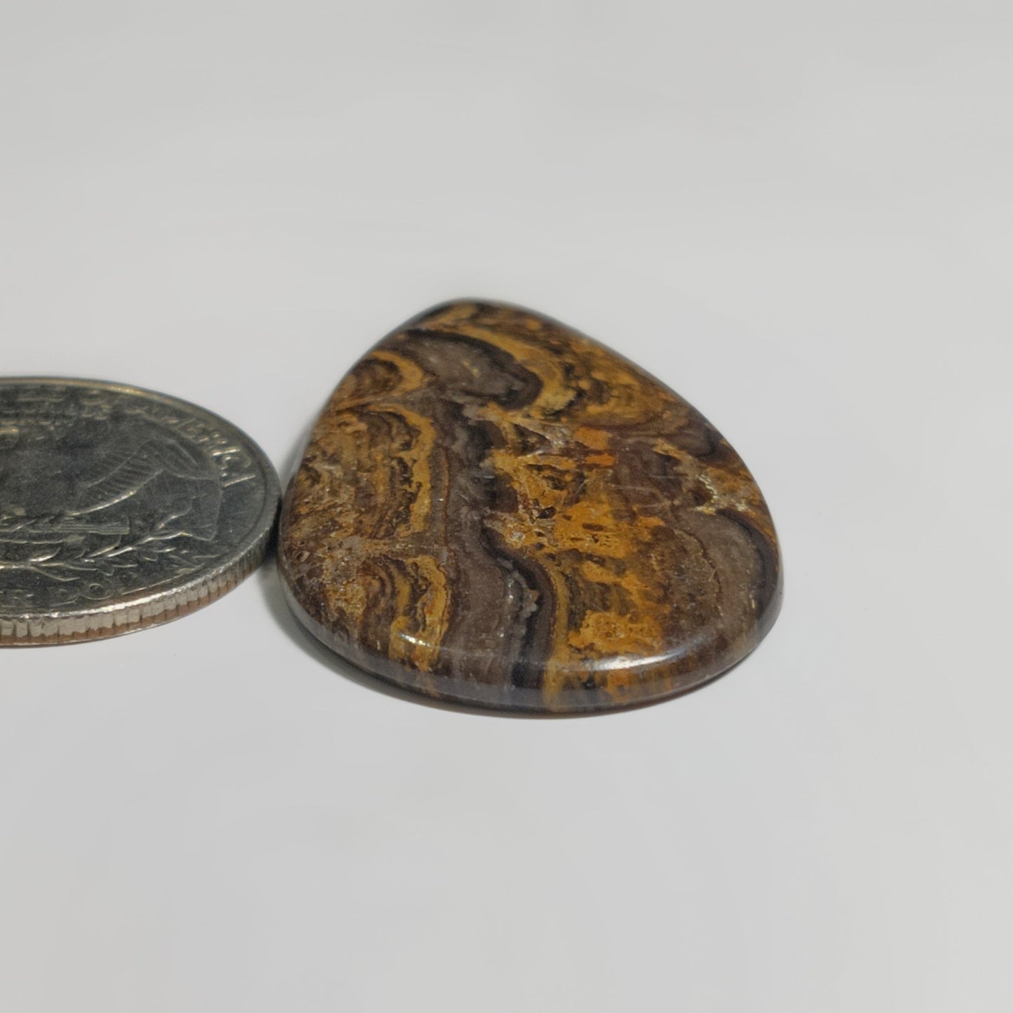 Stromatolite