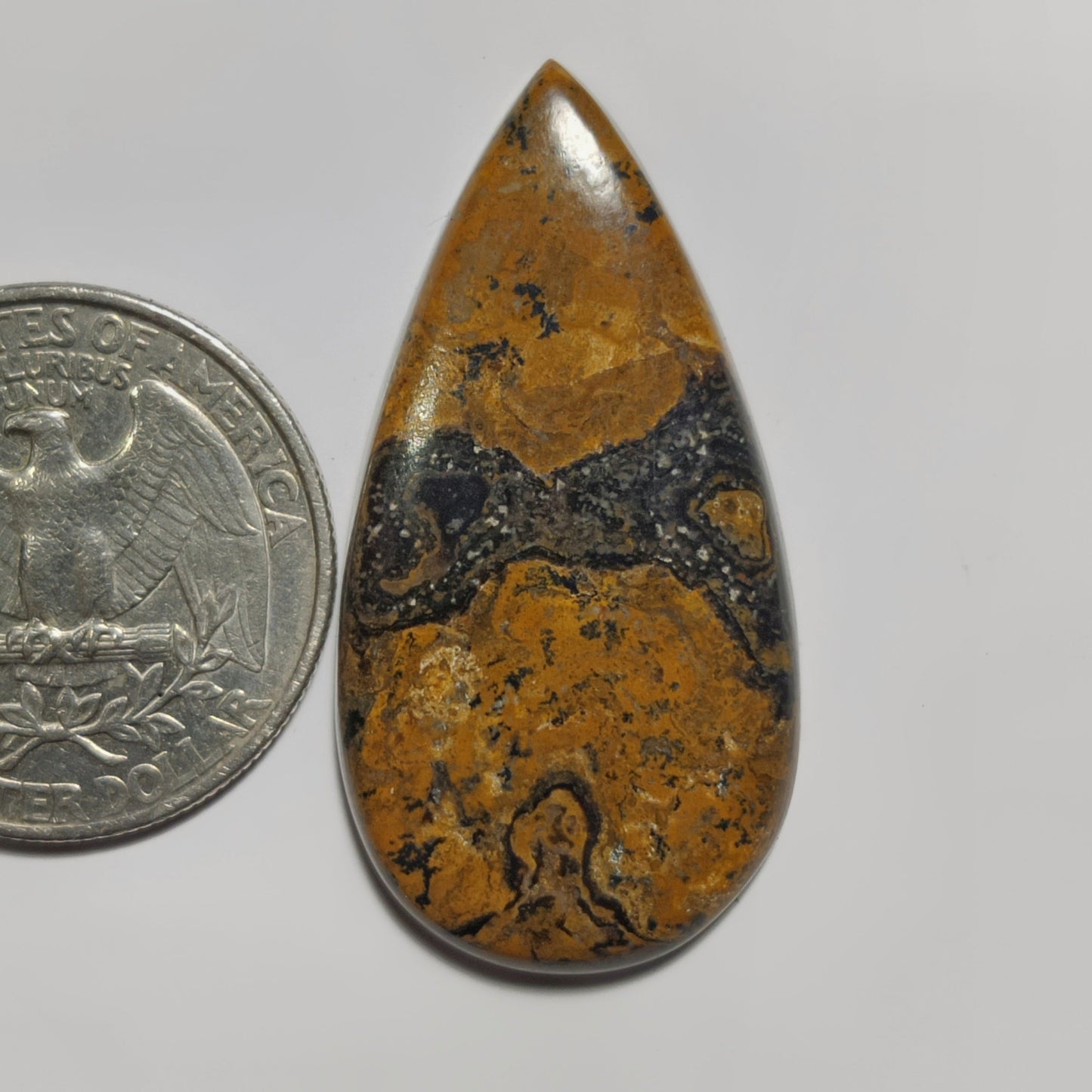 Stromatolite