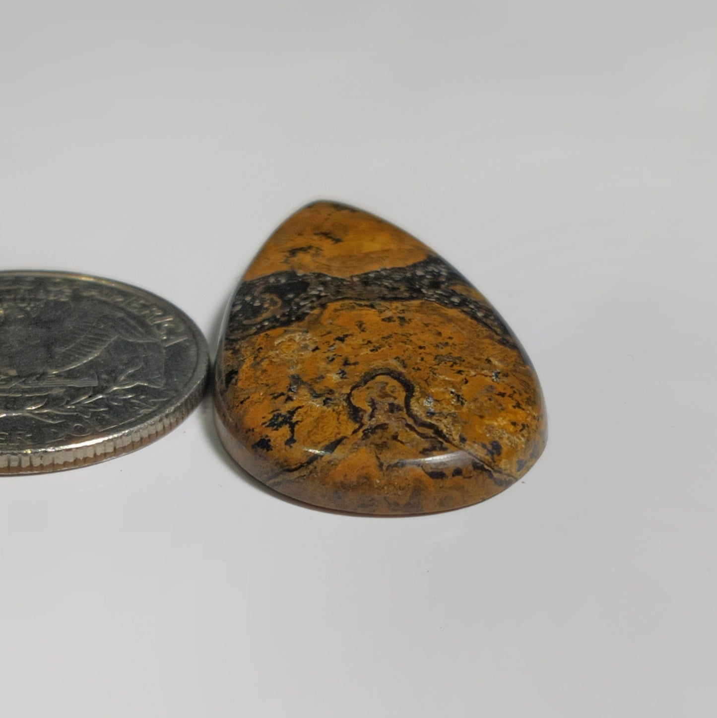 Stromatolite