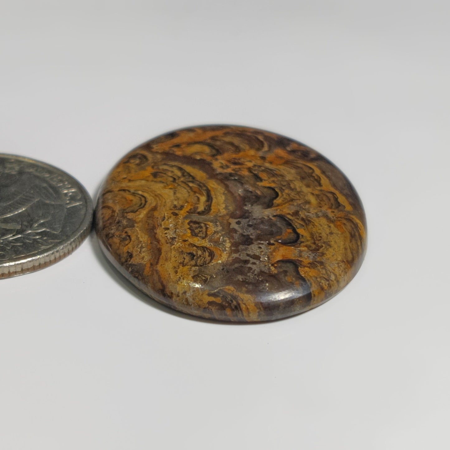 Stromatolite