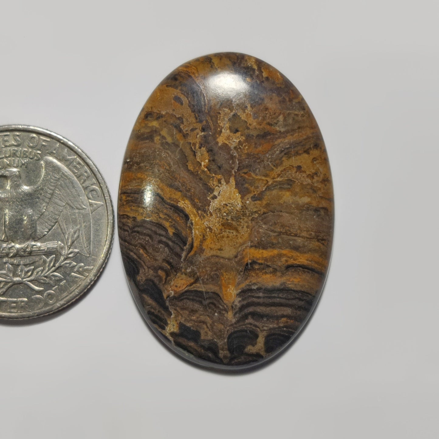Stromatolite