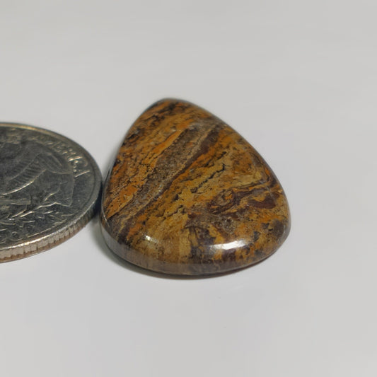 Stromatolite