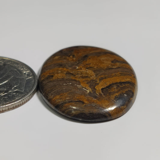 Stromatolite