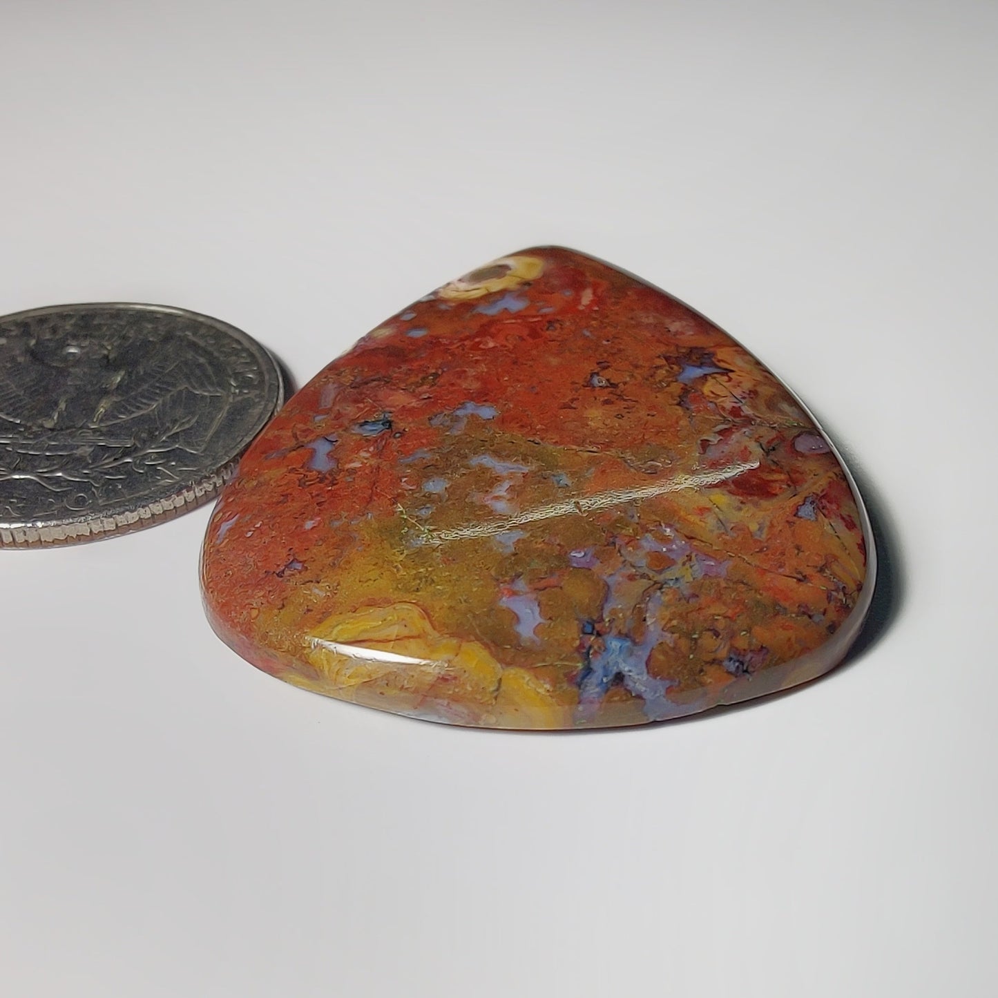 Palm Root Agate