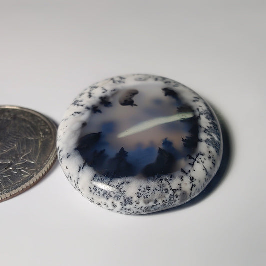 Dendritic Agate