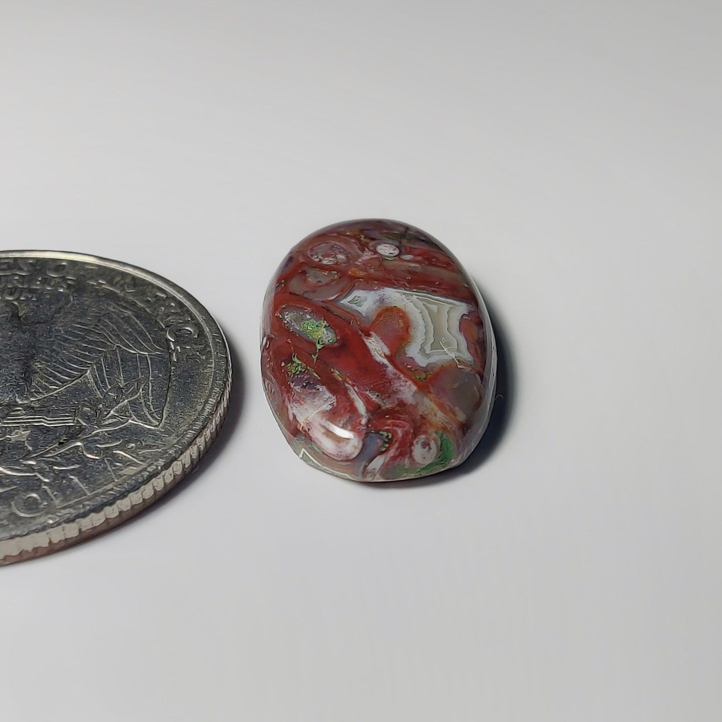 Palm Root Agate