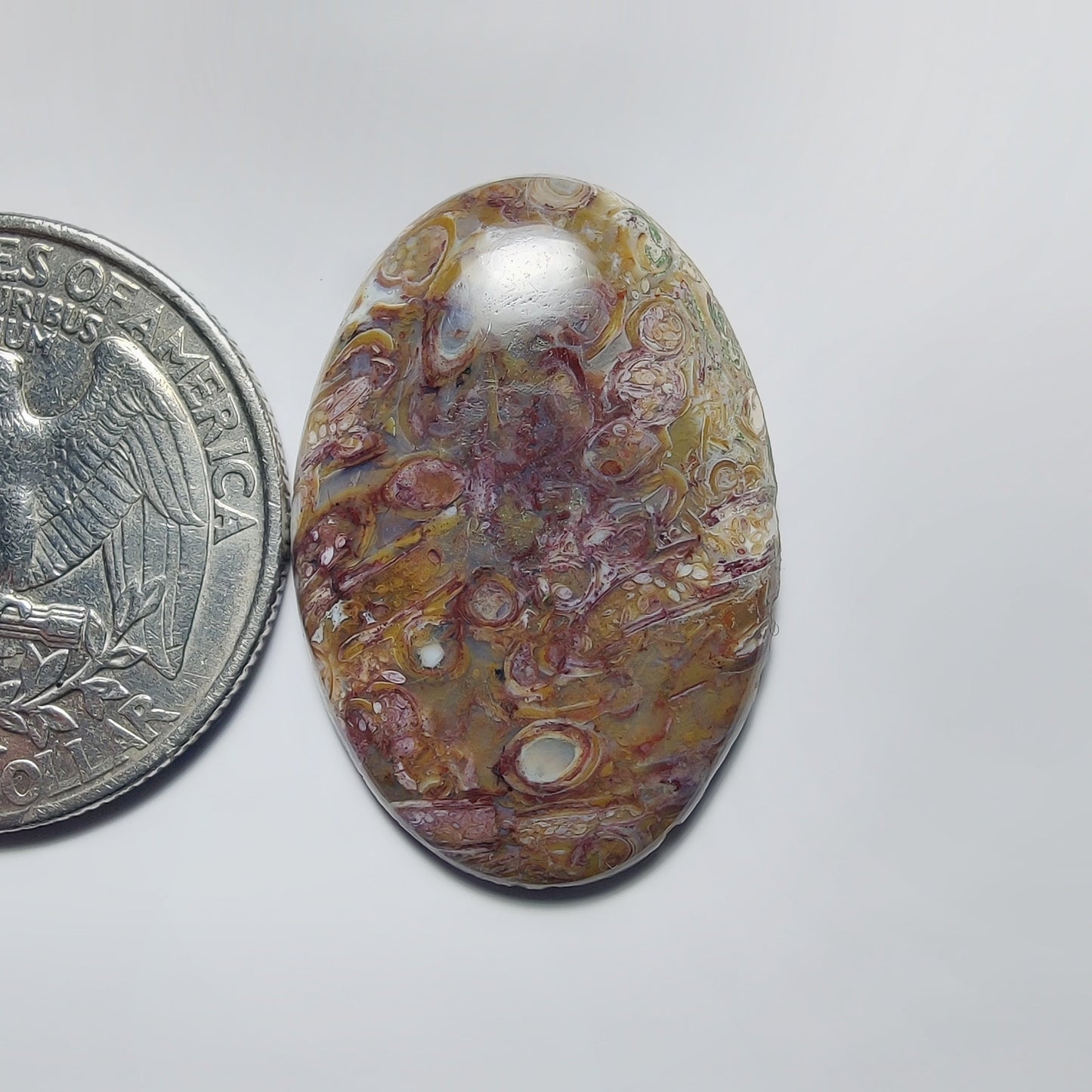 Palm Root Agate