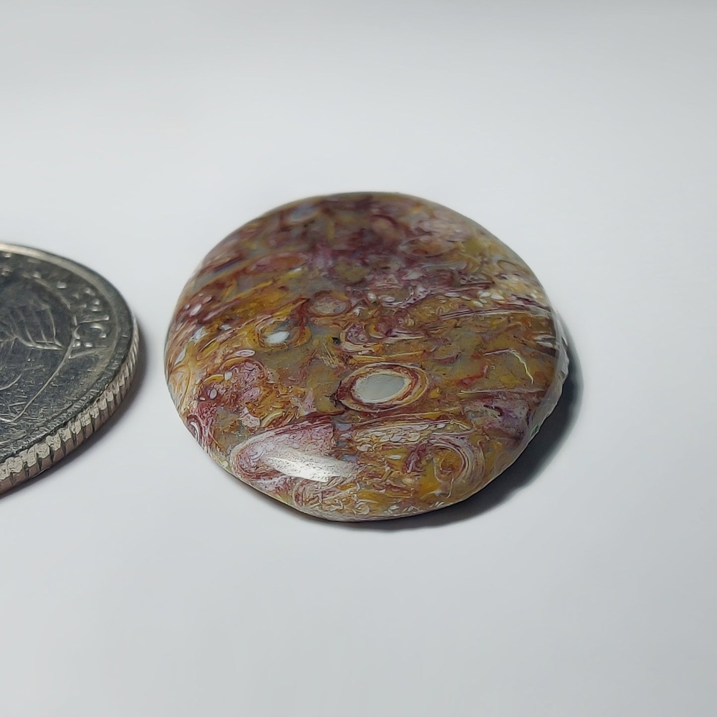 Palm Root Agate