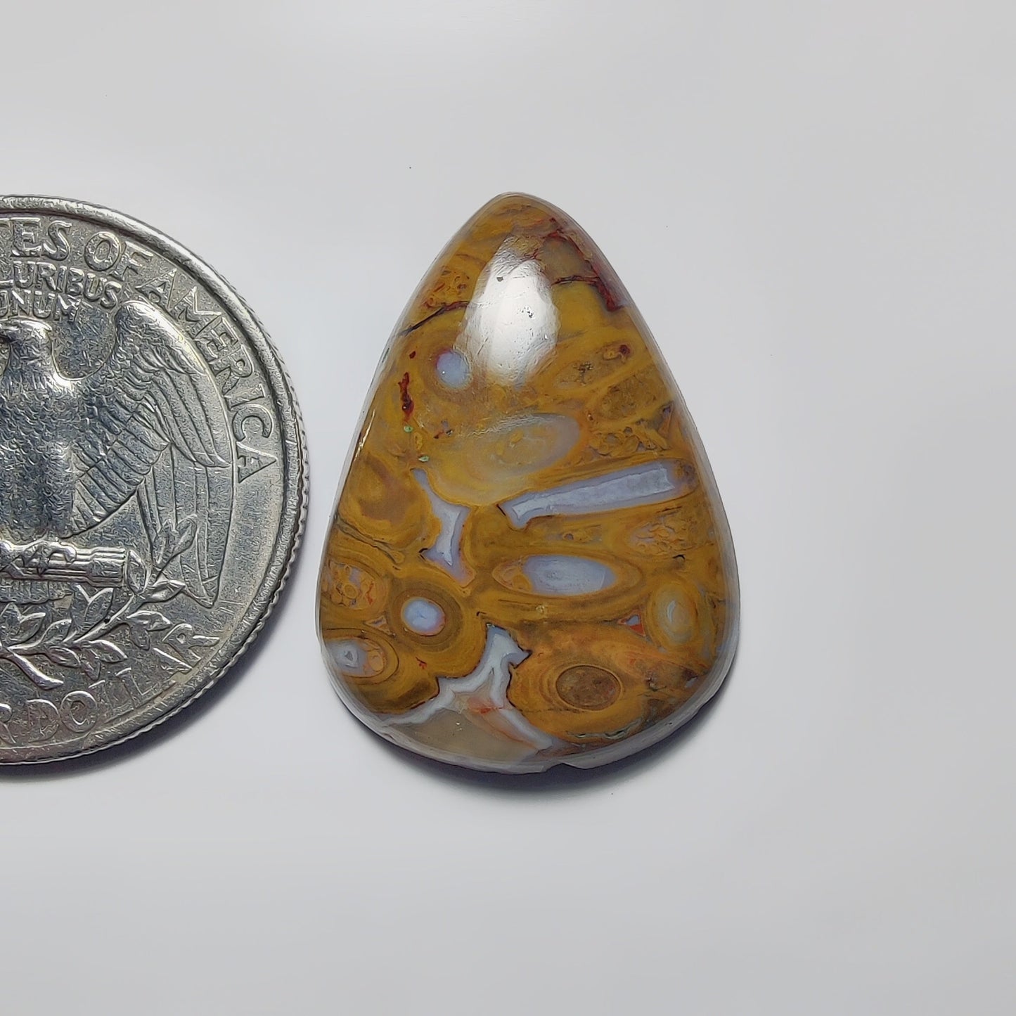 Palm Root Agate