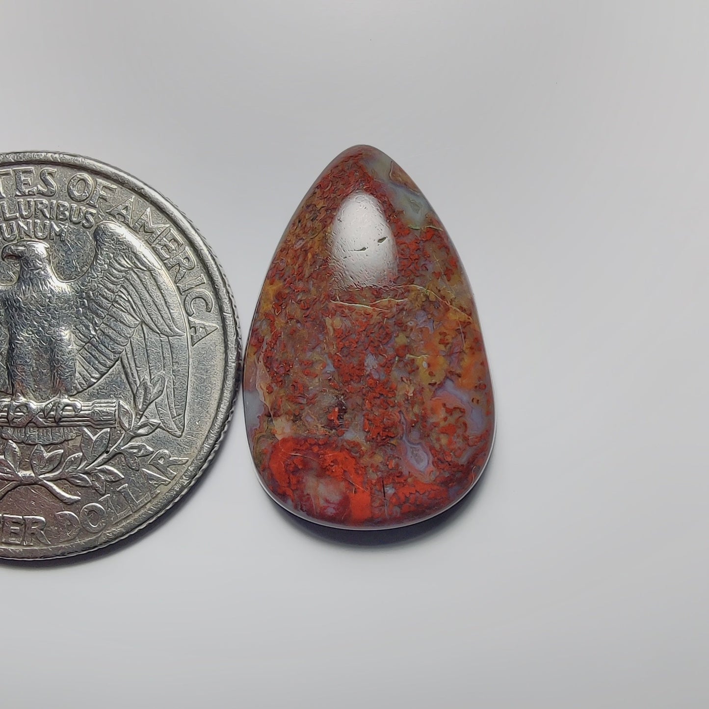 Palm Root Agate
