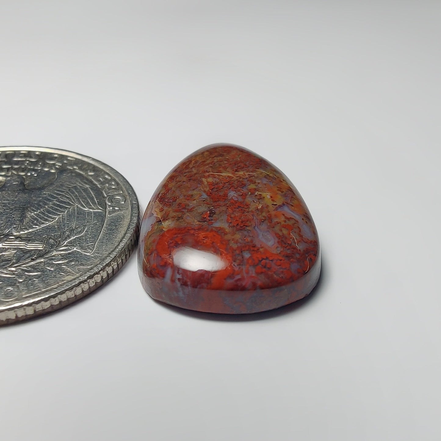 Palm Root Agate