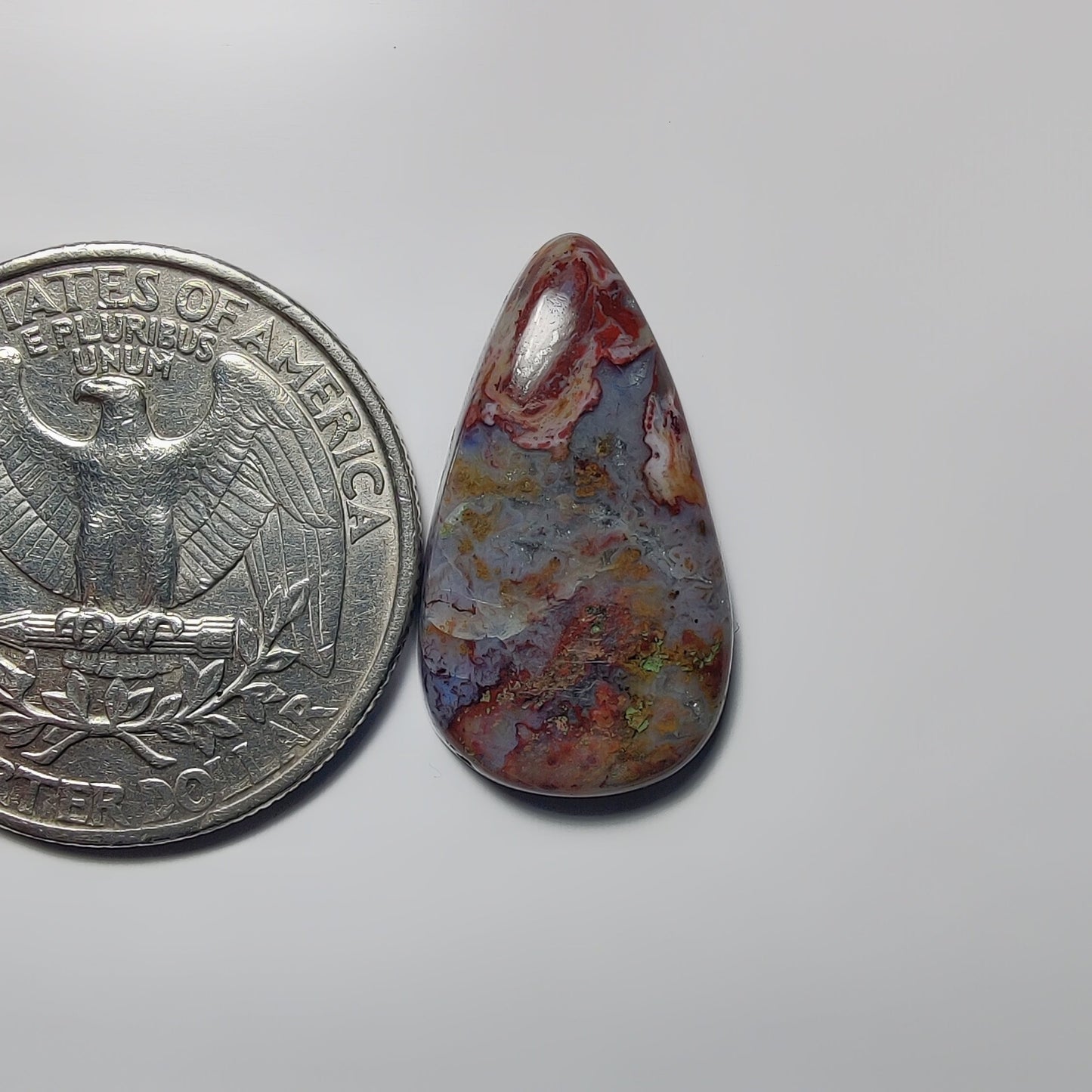 Palm Root Agate