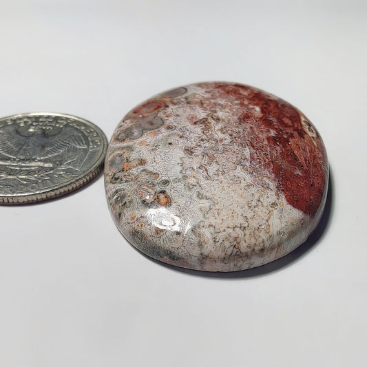 Leopard Skin Jasper gemstone cabochon - natural crystal healing stone for jewelry making by Gemivra