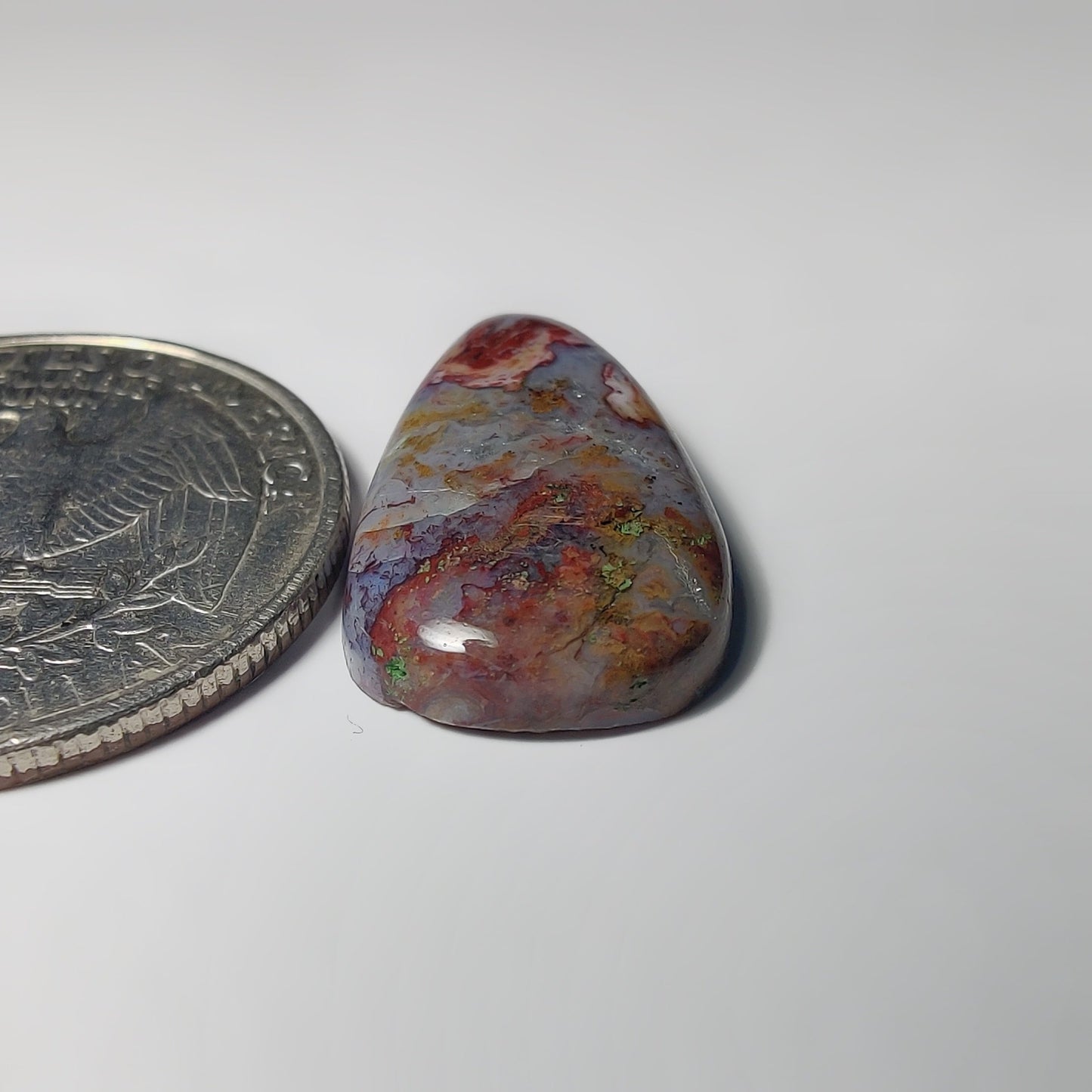 Palm Root Agate