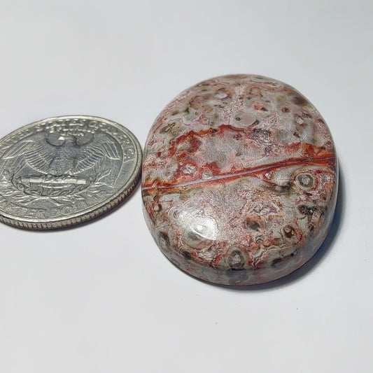 Leopard Skin Jasper gemstone cabochon - natural crystal healing stone for jewelry making by Gemivra