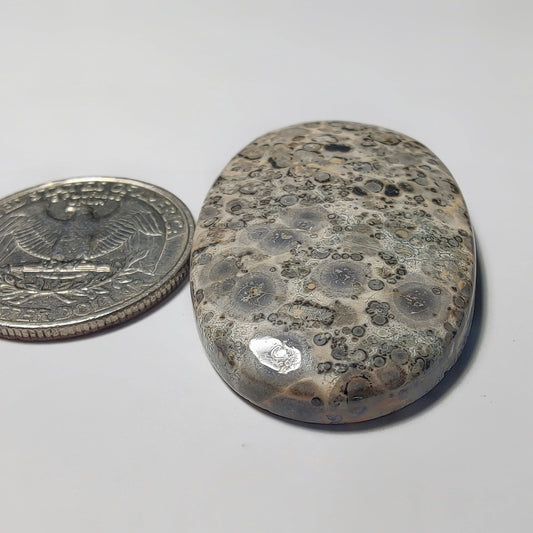 Leopard Skin Jasper gemstone cabochon - natural crystal healing stone for jewelry making by Gemivra