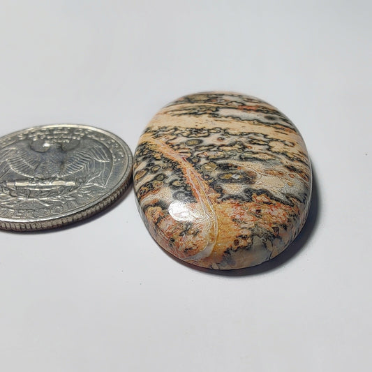 Leopard Skin Jasper gemstone cabochon - natural crystal healing stone for jewelry making by Gemivra