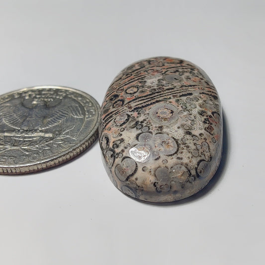 Leopard Skin Jasper gemstone cabochon - natural crystal healing stone for jewelry making by Gemivra