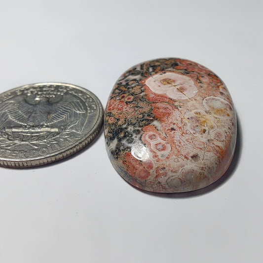 Leopard Skin Jasper gemstone cabochon - natural crystal healing stone for jewelry making by Gemivra