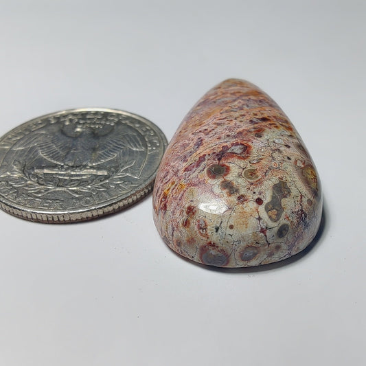 Leopard Skin Jasper gemstone cabochon - natural crystal healing stone for jewelry making by Gemivra