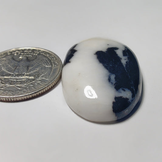 White Buffalo Turquoise gemstone cabochon - natural crystal healing stone for jewelry making by Gemivra