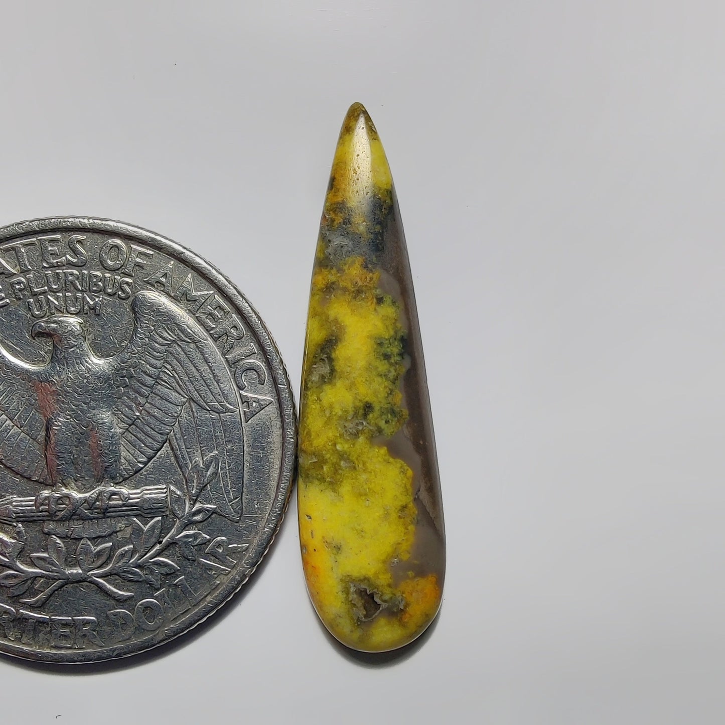 Bumblebee Jasper