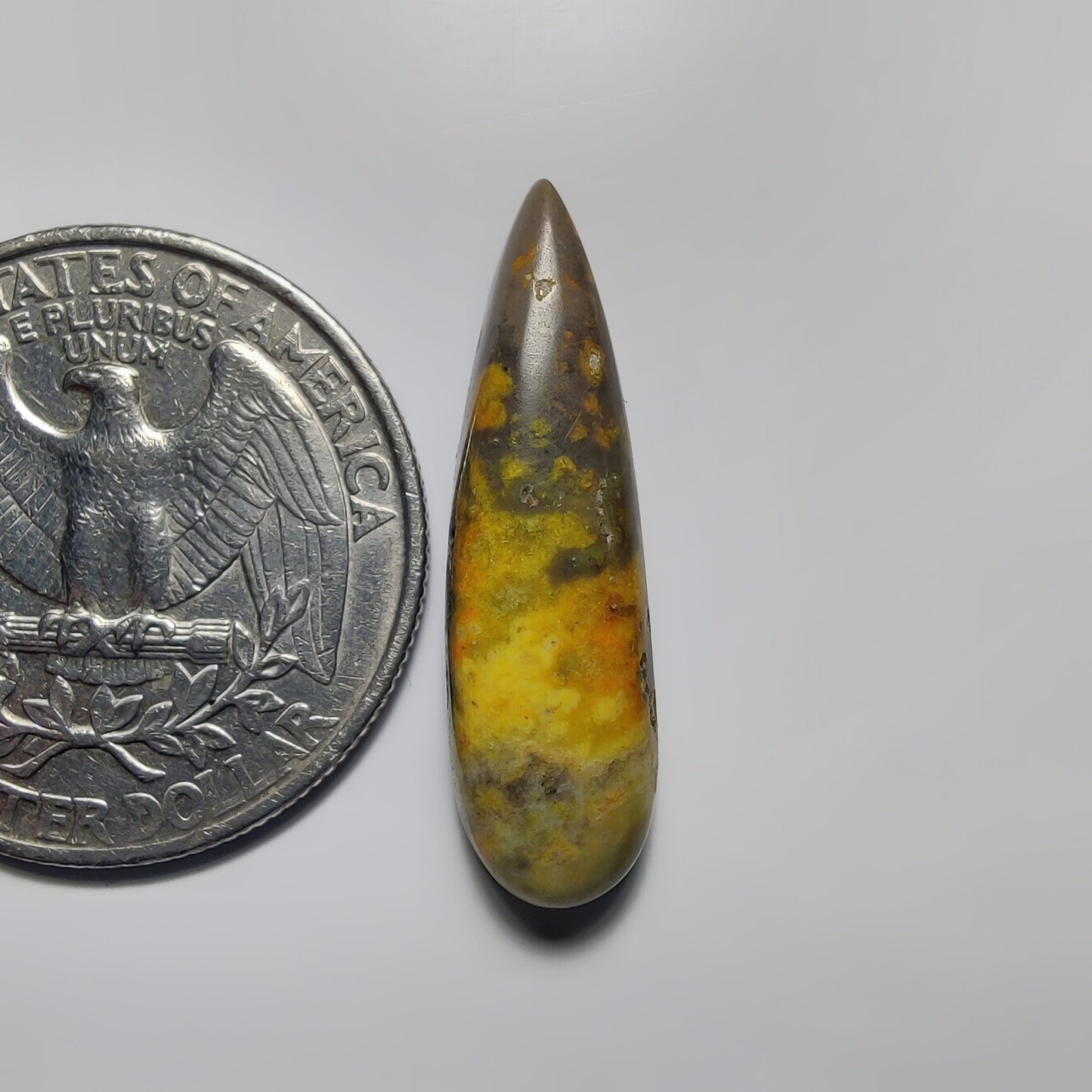 Bumblebee Jasper