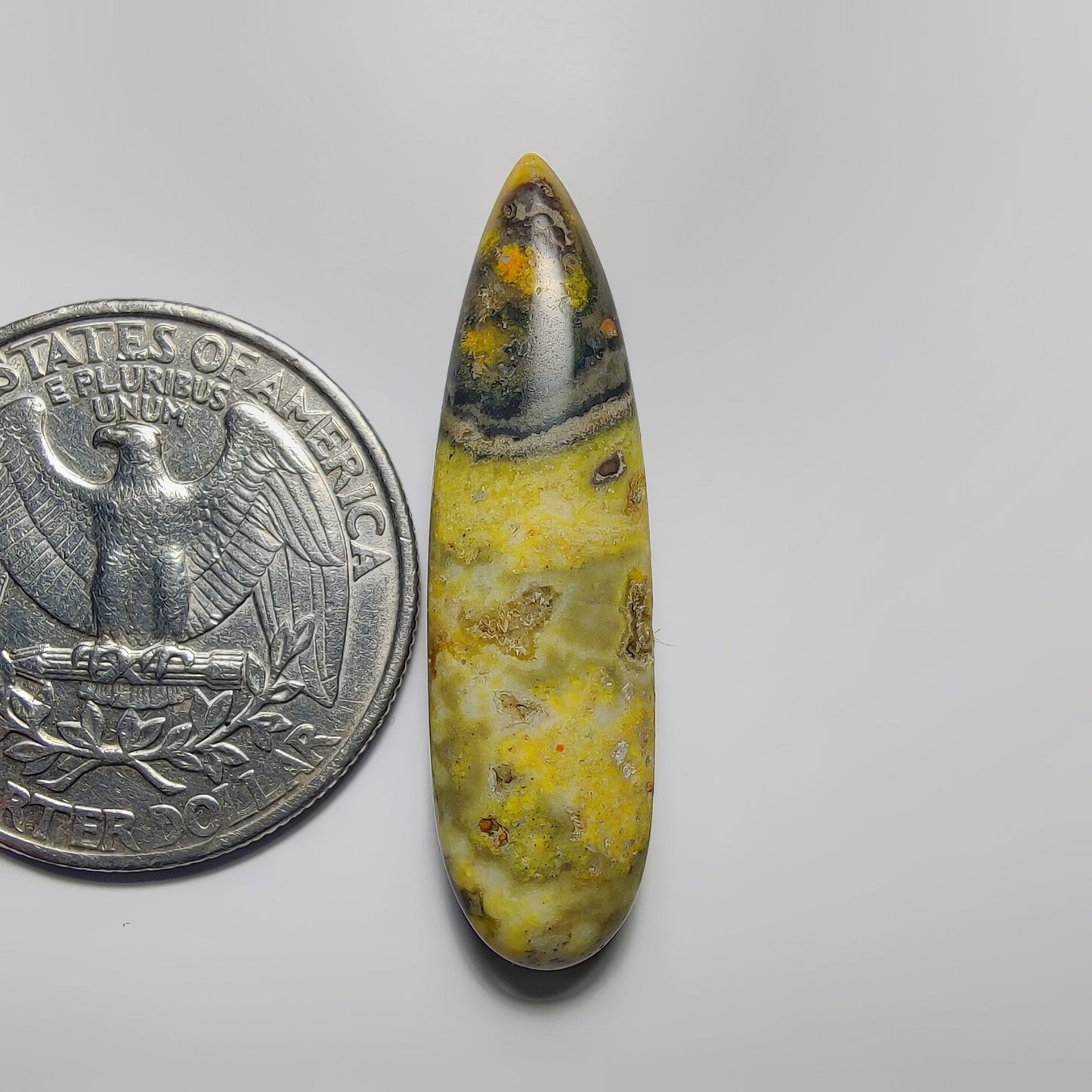 Bumblebee Jasper